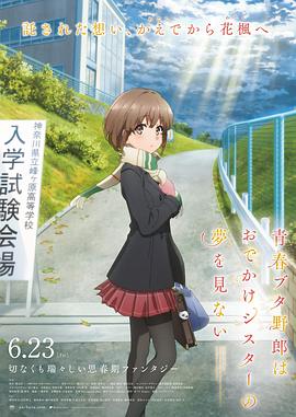 雷电将军裸体18